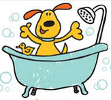 dog wash